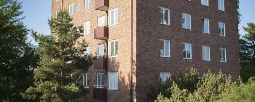 Bokbindarvägen Hägersten. Pressbild: John Mattson