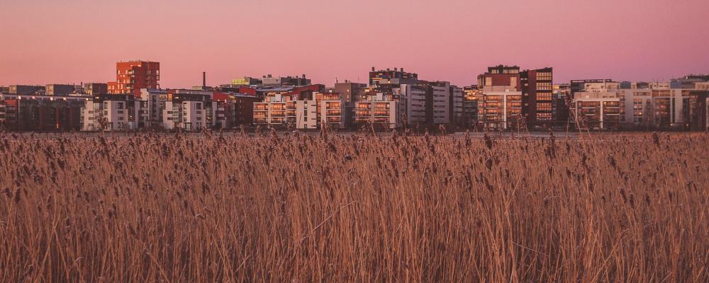 Hammarbysjöstad i Stockholm. Foto: Carlos Grury Santos / Unsplash