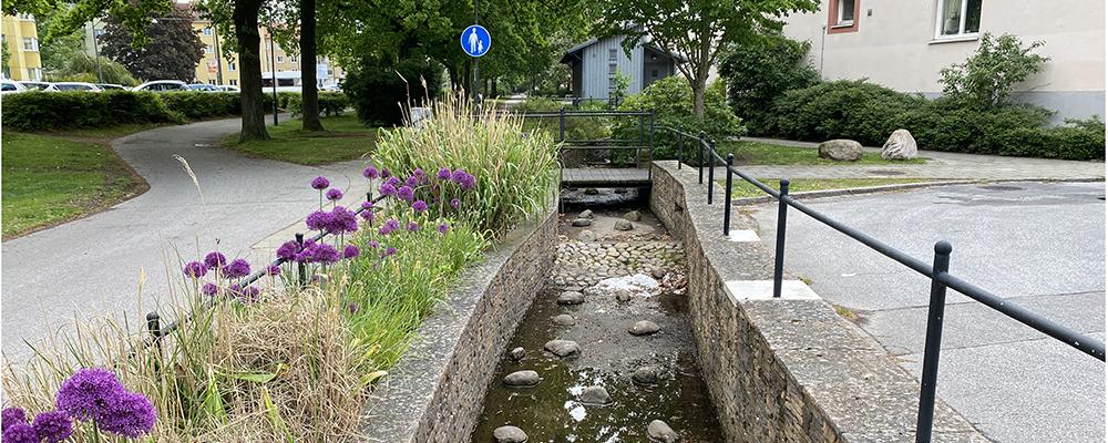 Vattenkanaler i Augustenborg i södra Malmö, ett område känt för klimatanpassning och hållbar stadsutveckling. Foto: IVL