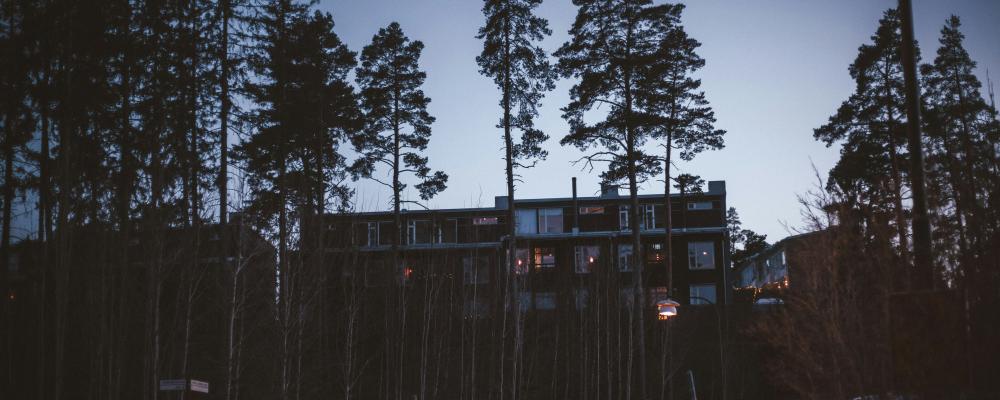 Foto: Stefan Rogo / Unsplash