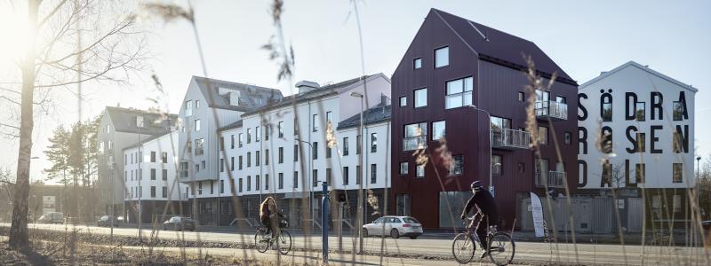 Hyresrätter i Södra Rosendal. Bild: Uppsalahem