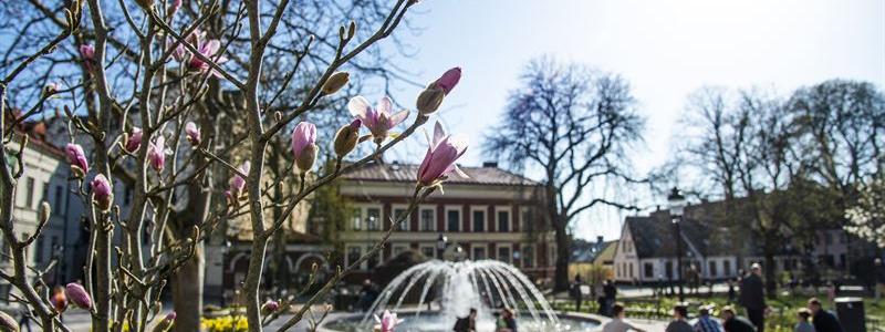 Lund är Årets klimatstad 2022 i Sverige. Staden vann i tuff konkurrens med de andra finalisterna Helsingborg och Stockholm. Foto: Lund kommun/ Kristina Strand Larsson
