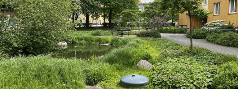 Exempel på klimatanpassning med blågröna lösningar i Augustenborg, Malmö. Fastigheter som tidigare ofta drabbats av översvämningar har förnyats med dräneringssystem inklusive vattenkanaler och fördröjningsdammar. Foto: Johan Holmqvist/IVL
