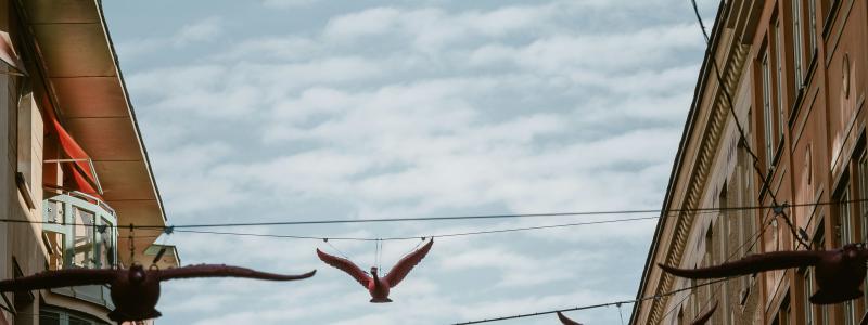 Foto: Agata Ciosek / Unsplash