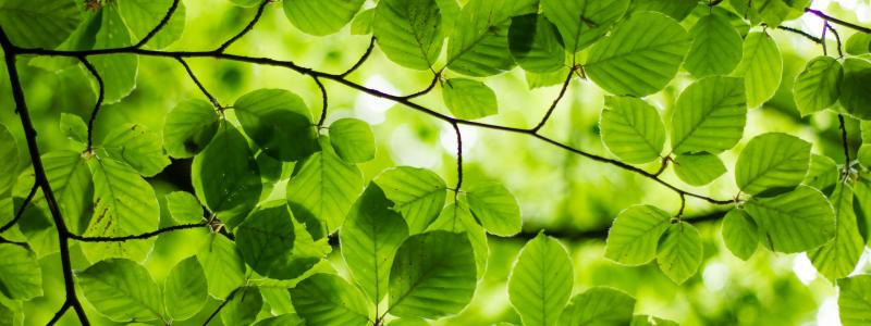 Foto: Ash/Unsplash