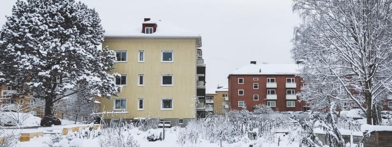 Pressbild: Boneo