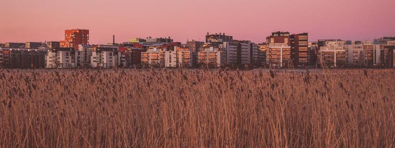 Hammarbysjöstad i Stockholm. Foto: Carlos Grury Santos / Unsplash