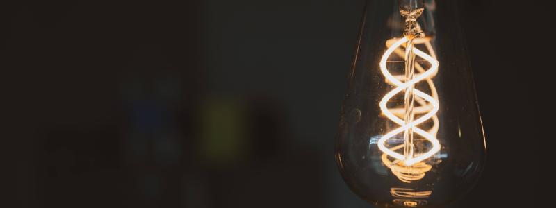 Foto: Cole Ankney/Unsplash