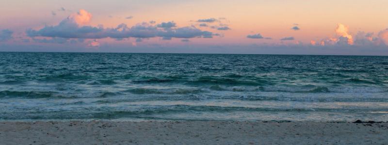 Foto:  David Di Veroli / Unsplash