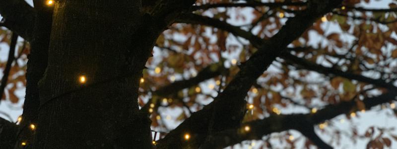 Foto: LKF