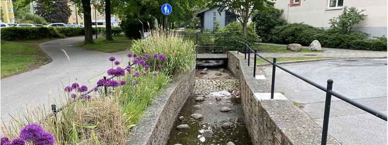 Vattenkanaler i Augustenborg i södra Malmö, ett område känt för klimatanpassning och hållbar stadsutveckling. Foto: IVL