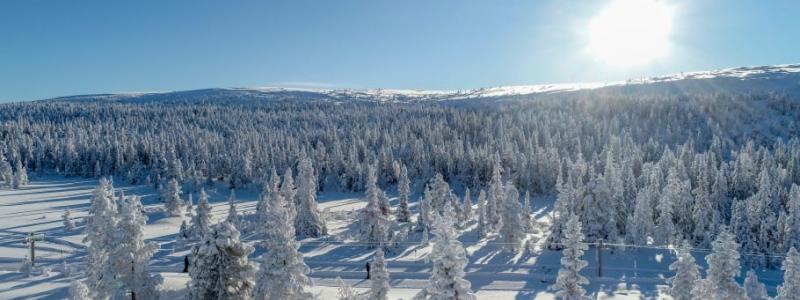 Foto: SkandiaMäklarna