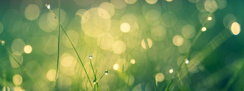 Foto: Johannes Plenio/Unsplash