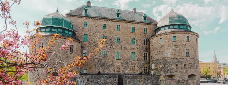 Foto: Philip Myrtorp/Unsplash