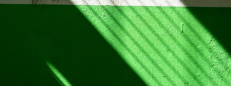 Foto: Samuel Ryde / Unsplash