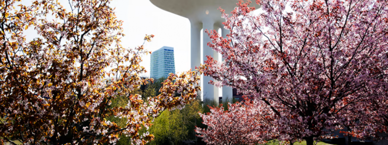 Foto: Malmö stad