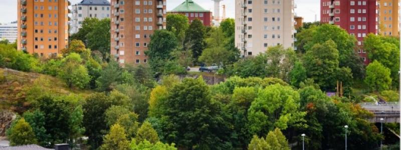 Foto: Bjurfors