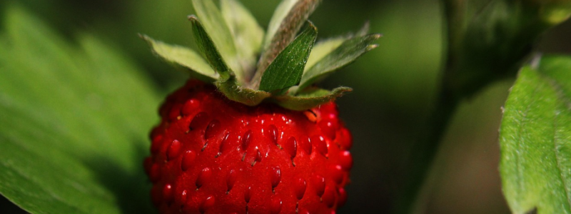 Bild: Stora Coop Hammarö - Novier