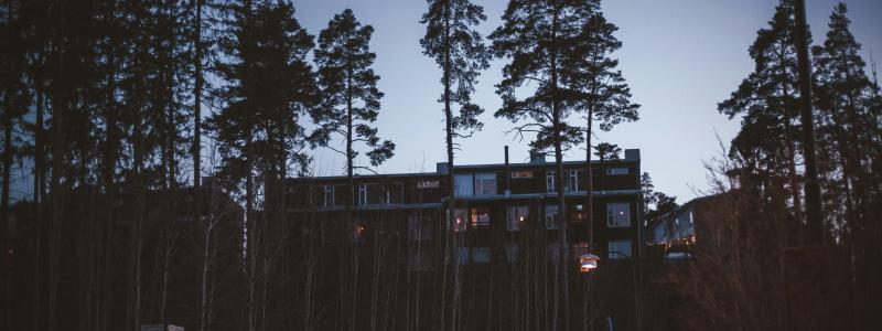 Foto: Stefan Rogo / Unsplash