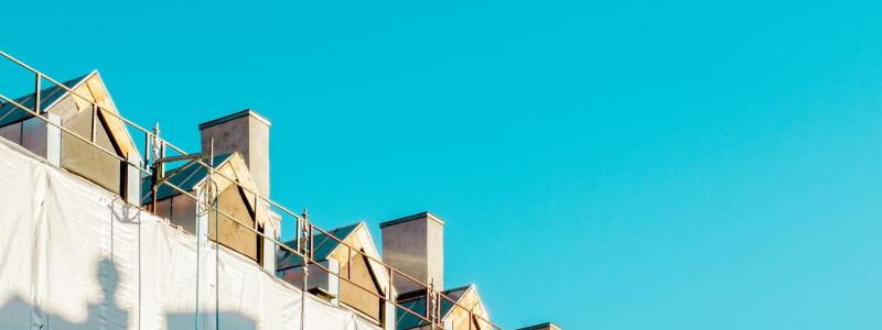 Hustak. Foto: Vlado Paunovic / Unsplash