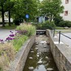 Vattenkanaler i i bostadsområdet Augustenborg i Malmö. Foto: Johan Holmqvist/IVL