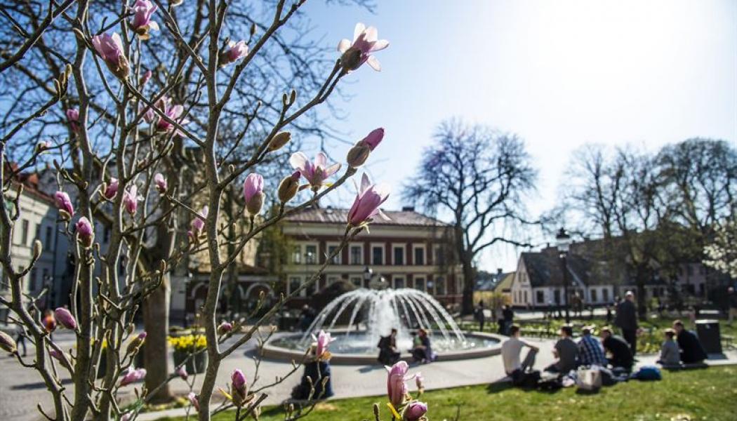 Lund är Årets klimatstad 2022 i Sverige. Staden vann i tuff konkurrens med de andra finalisterna Helsingborg och Stockholm. Foto: Lund kommun/ Kristina Strand Larsson