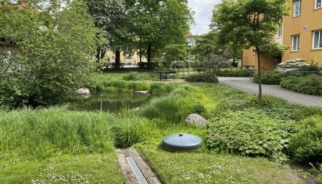 Exempel på klimatanpassning med blågröna lösningar i Augustenborg, Malmö. Fastigheter som tidigare ofta drabbats av översvämningar har förnyats med dräneringssystem inklusive vattenkanaler och fördröjningsdammar. Foto: Johan Holmqvist/IVL