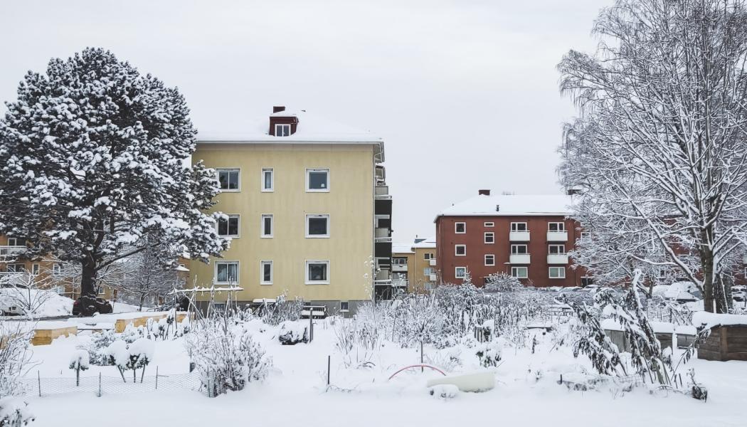 Pressbild: Boneo