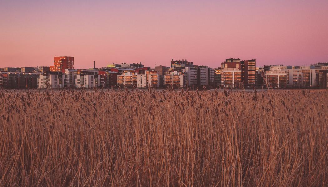 Hammarbysjöstad i Stockholm. Foto: Carlos Grury Santos / Unsplash