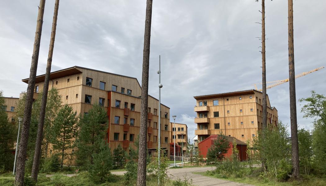 Bild: Växjö kommun. 