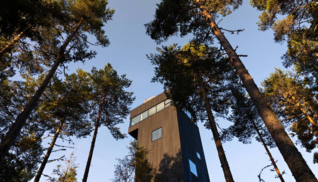 Dalarnas nya utsiktstorn, foto: Klas Sjöberg