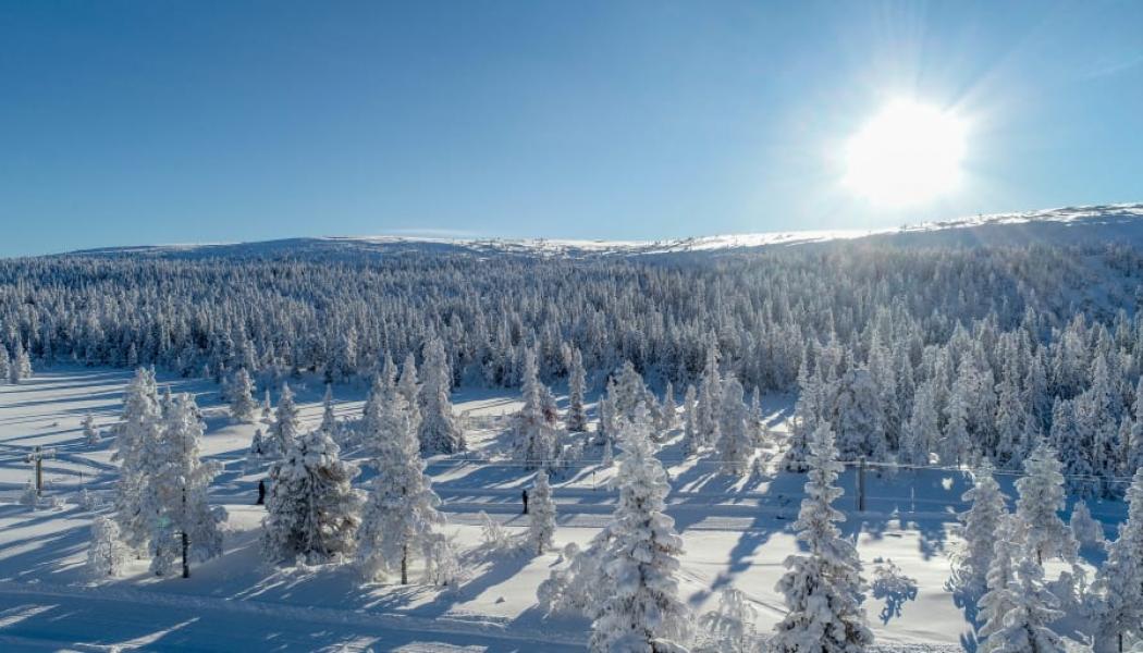 Foto: SkandiaMäklarna 