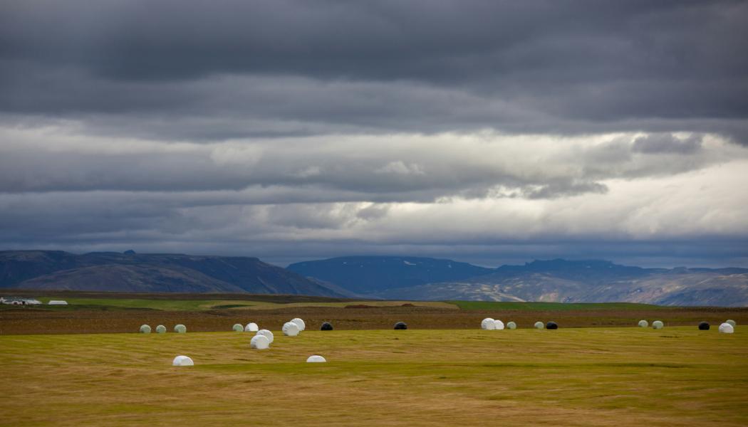Foto: Jas Min / Unsplash