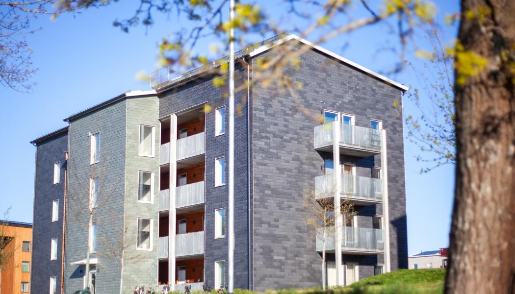 Karin Swanströms gata. Pressbild: Hyresbostäder i Norrköping AB