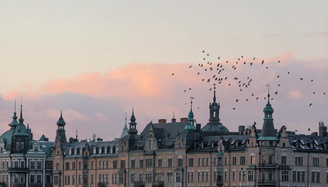Fotograf: Mårten Björk