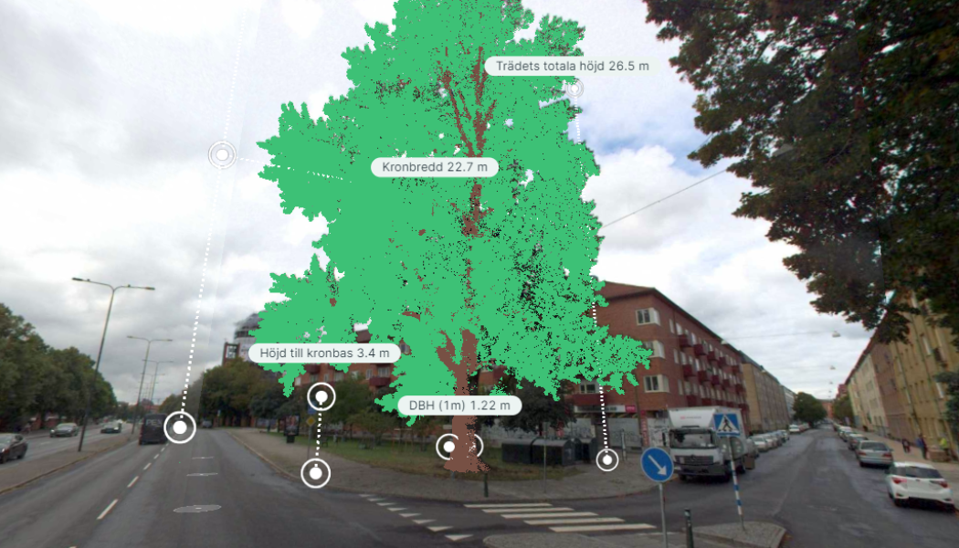 Vy från det verktyg som används för inventering av Malmös gatuträd. Bild Malmö stad