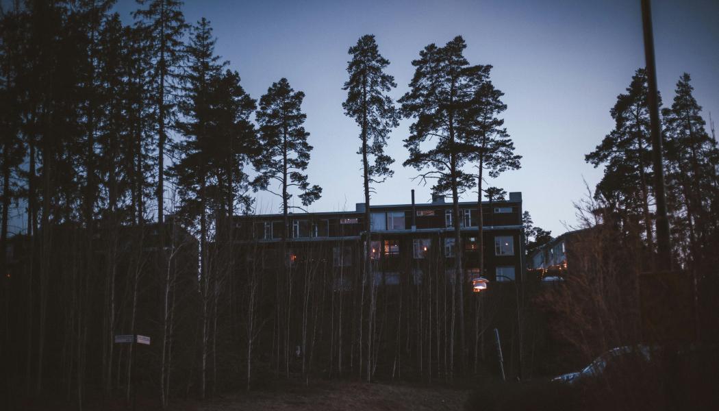 Foto: Stefan Rogo / Unsplash