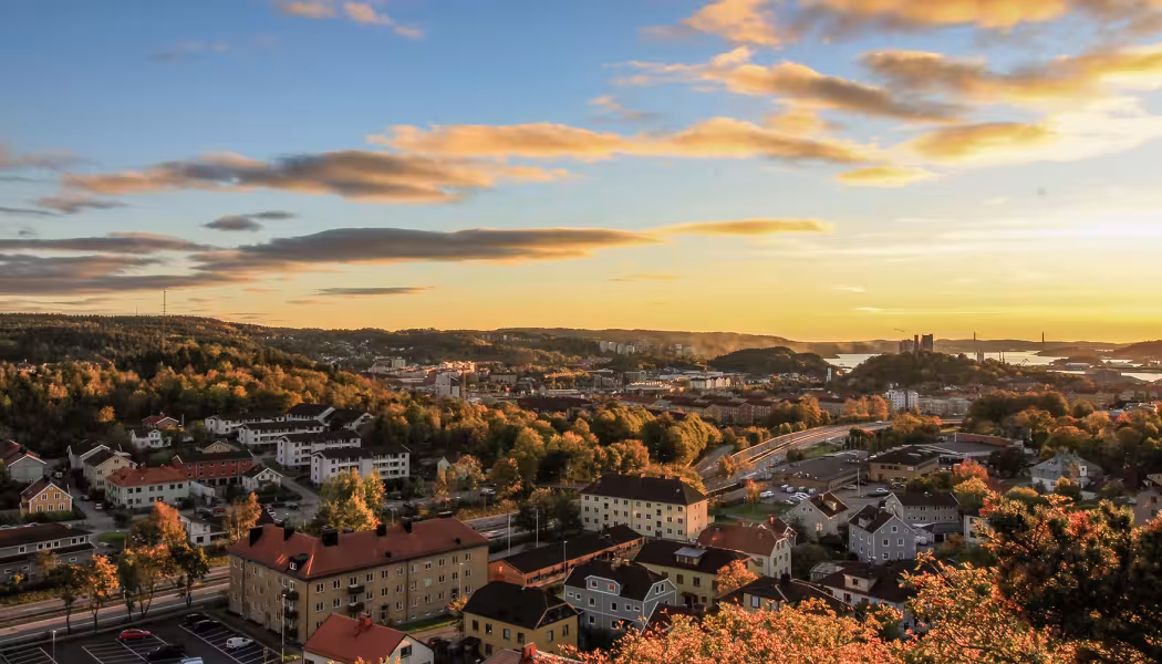 Höstbild över Uddevalla. Pressbild: Västsvenska Handelskammaren