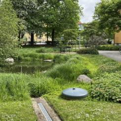 Exempel på klimatanpassning med blågröna lösningar i Augustenborg, Malmö. Fastigheter som tidigare ofta drabbats av översvämningar har förnyats med dräneringssystem inklusive vattenkanaler och fördröjningsdammar. Foto: Johan Holmqvist/IVL