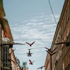 Foto: Agata Ciosek / Unsplash
