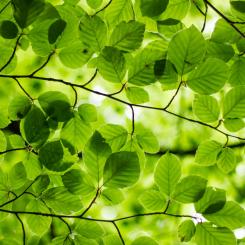 Foto: Ash/Unsplash