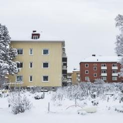 Pressbild: Boneo