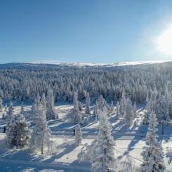 Foto: SkandiaMäklarna