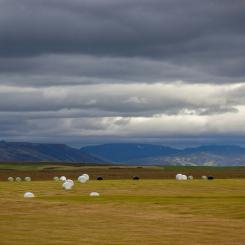 Foto: Jas Min / Unsplash