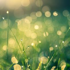 Foto: Johannes Plenio/Unsplash