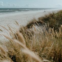 Foto: Jonas Jacobsson / Unsplash