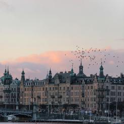 Fotograf: Mårten Björk