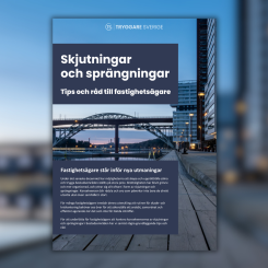 Pressbild: Stiftelsen Tryggare Sverige