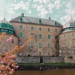 Foto: Philip Myrtorp/Unsplash