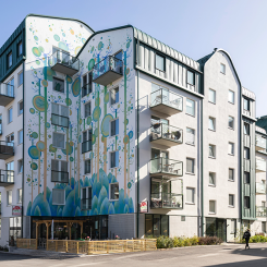Rosendalsfältet. Foto: Byggvesta